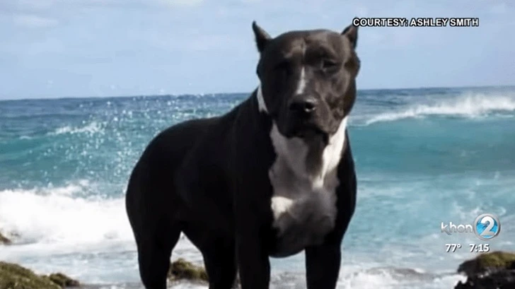 992222486007C137169DB9