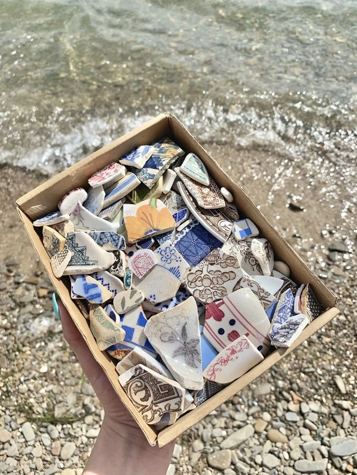 993DE63C5F59525B0B6445