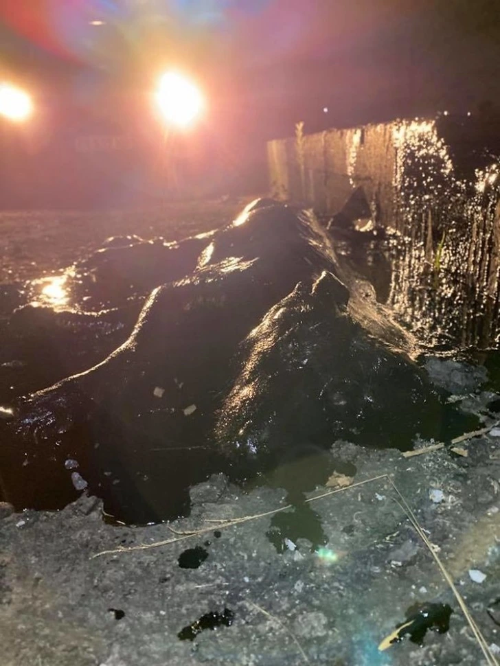 998CA6475F6042B63C9AAD