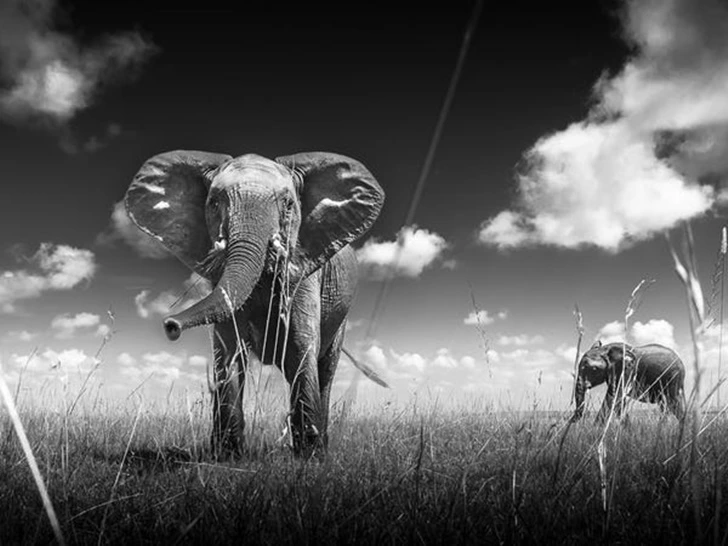 990D2E4D5F7A97152DE1EF