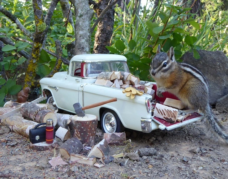 99362D405FC2E6EE0B04DA