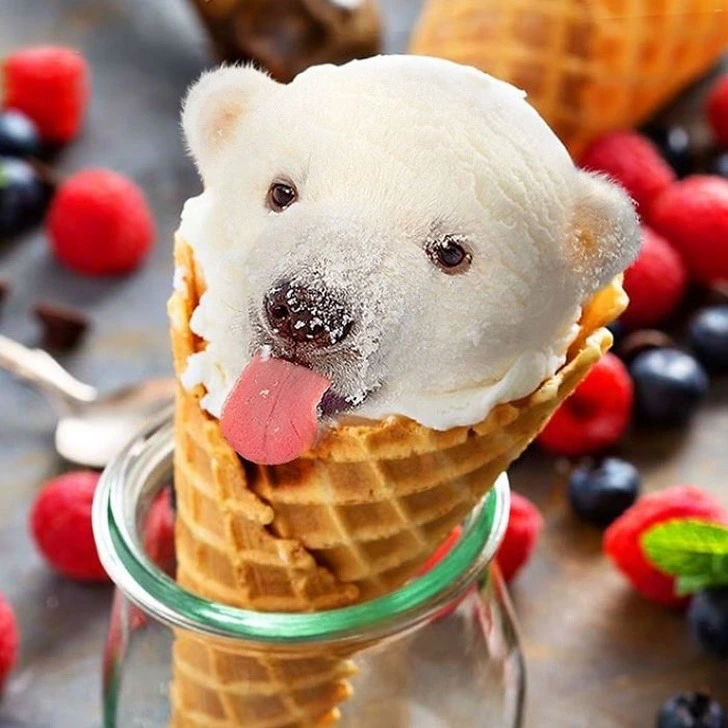 99741B385F222EC121FF5C