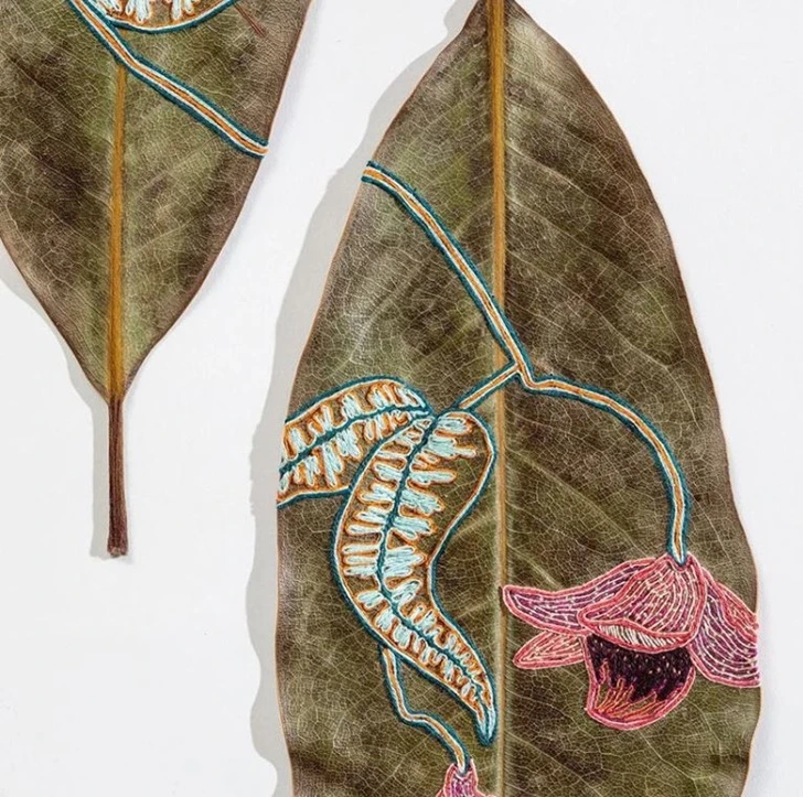 9969F93E5FEEAA500F24F6