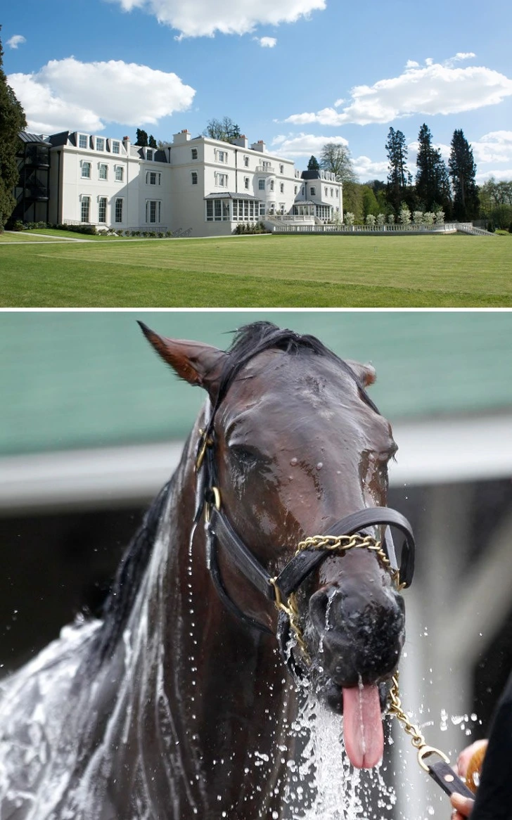 99E9DA4B5C84D8C602AEC3