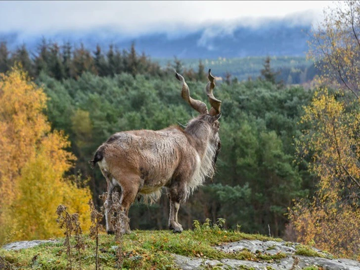 995A23445F22256D21CDAB