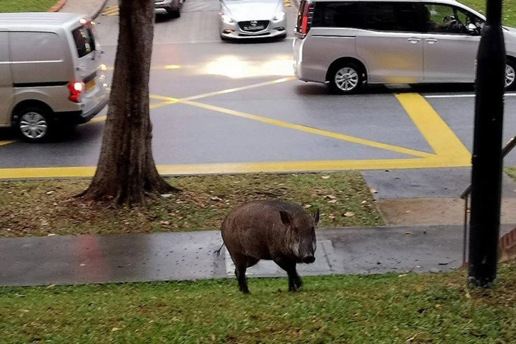 9974C04B5FBB6FD703E1EE