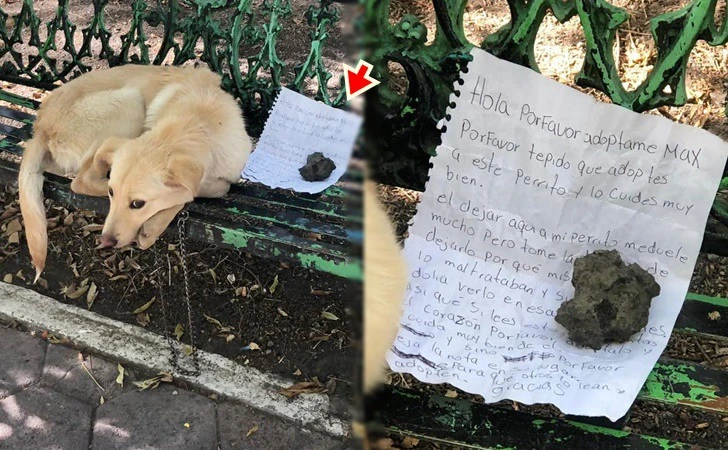 995E4E365FDBE7E5097694