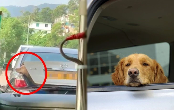 99C6F9405F52CECB118EB9