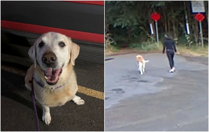 993FA13E5F3223AD08EAA7