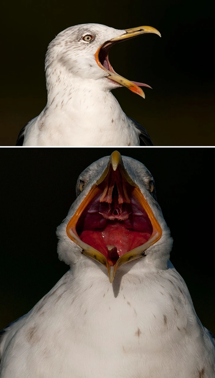 990F62495FF655F607B3A8