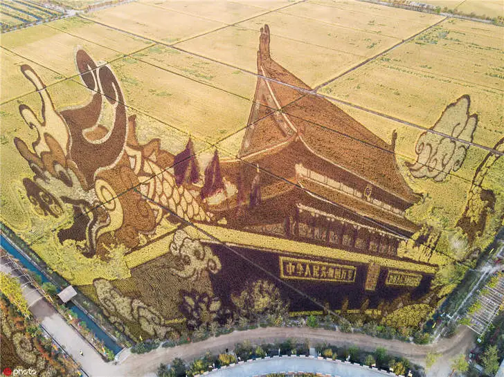 9978963A5F24986709E589