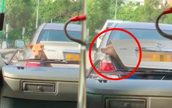 9959703F5F52CDB61037B9