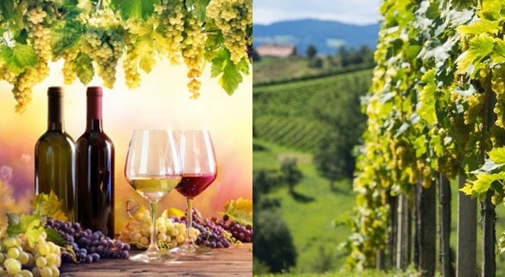 991DA4365D2AD2B815EAF7