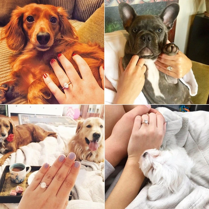 9961ED415CF8918C1ACEF8