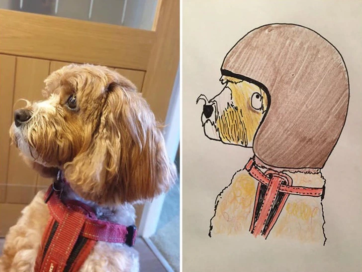 99BDB0375F640E7725474E