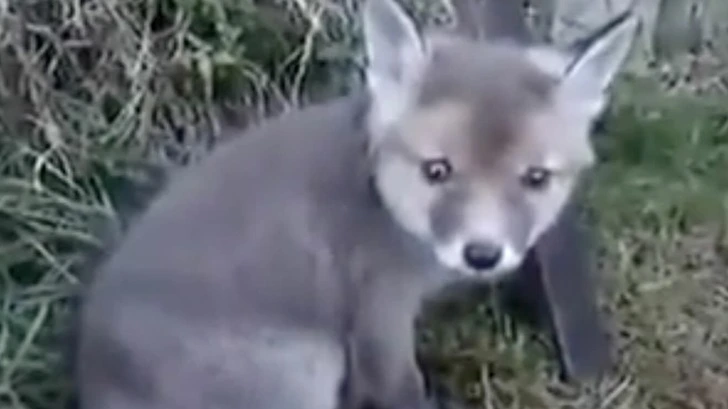 995ED0435FE3C3C40932FD