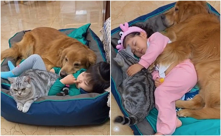 9918CE4A5FD47DF11EB91B