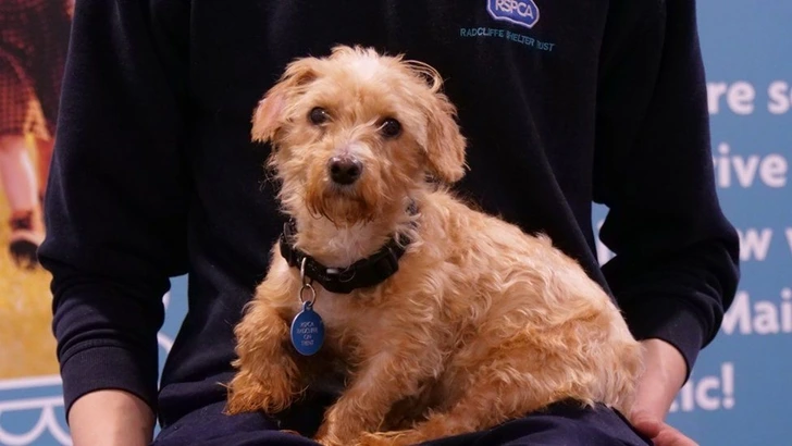 99B279436010CAF60B955A