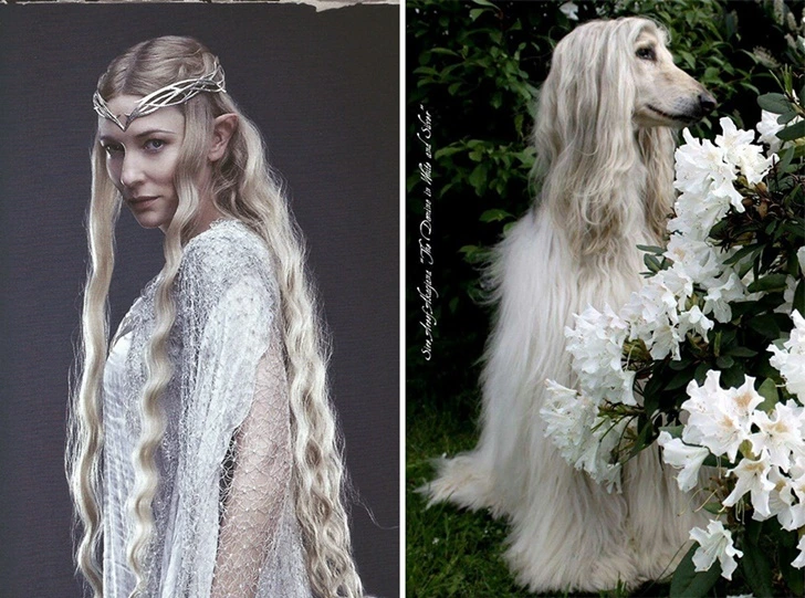 99BF144C5FEEBD49140822