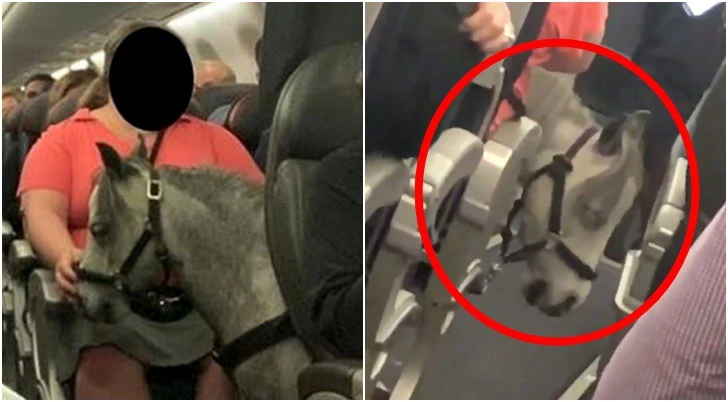 99F618385D777E9121700F