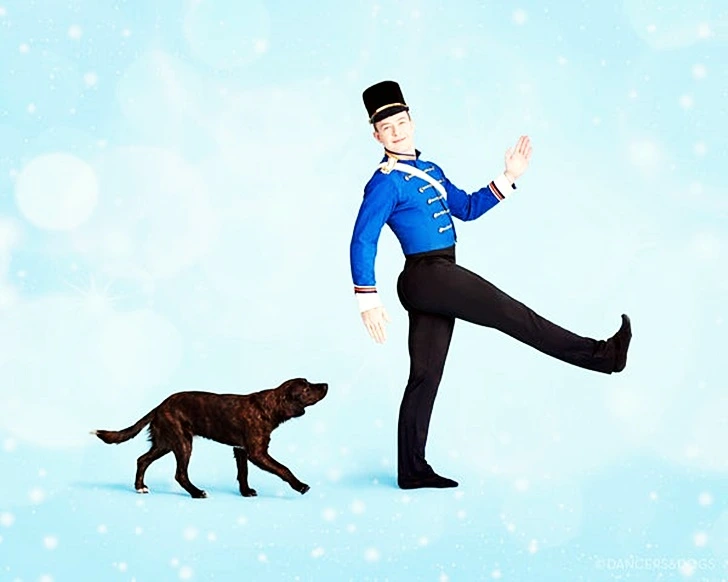 99FCD64B5FD98E0213B2EE