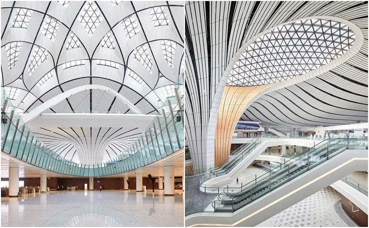 99A7E53A5D8D56EE2297E5