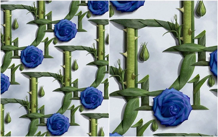 99E0A23F5F4265540681CD