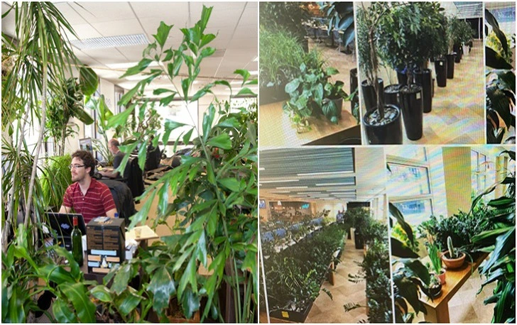 99CF9F4C5F50B9BF2D2B74