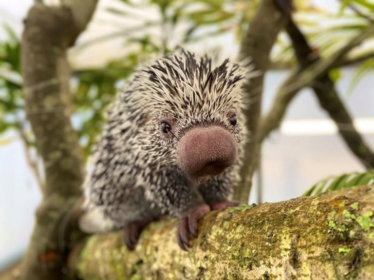 994E454C5F22256E1FB991