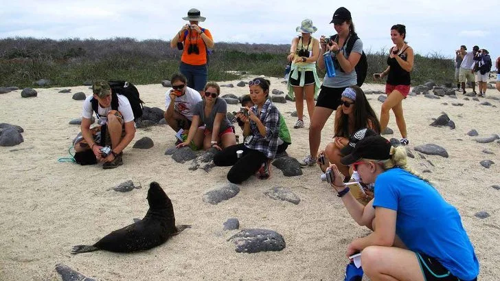 996862335D9B2CF016BFE0