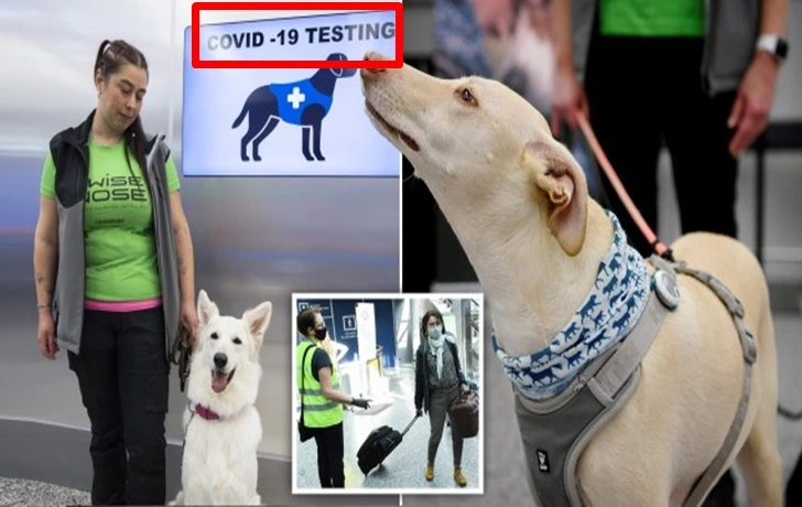 9919194B5F6ECCF92296B3