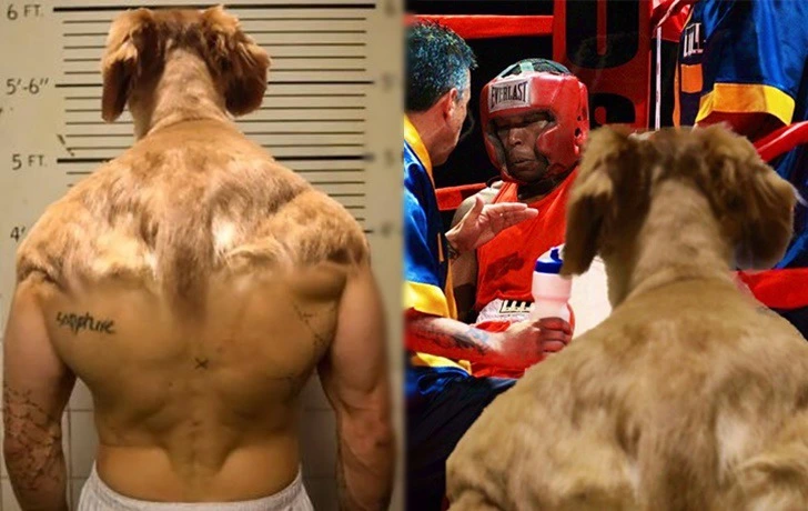 99C1674C5F2A4E960F1C8E