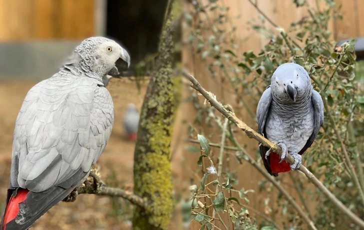 994110345F753520114D2F