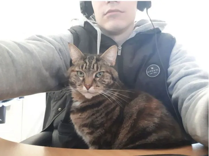 99CD154D5E8535431D32F6