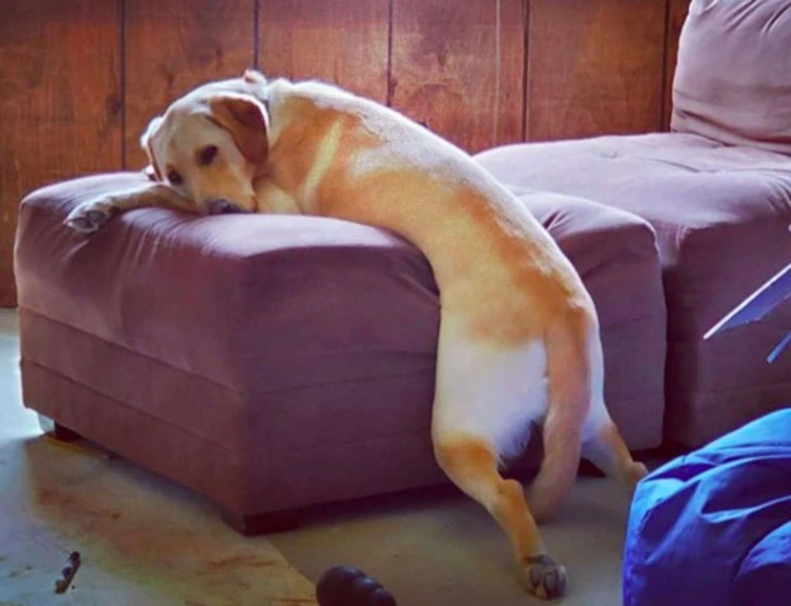 993139505FEA6350066177