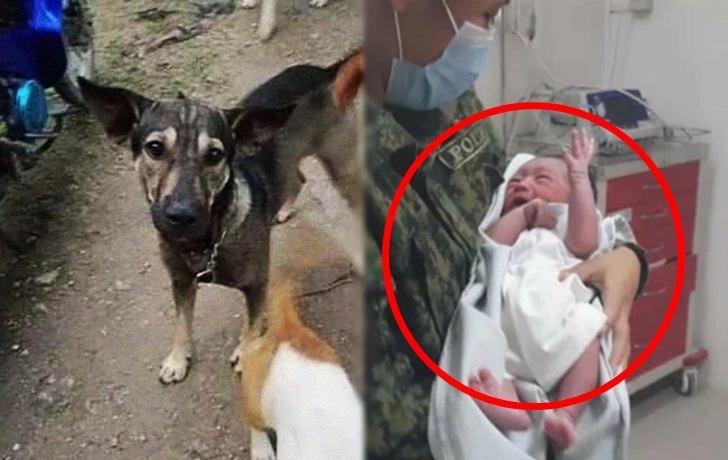 99DCE94B6016427808DC55