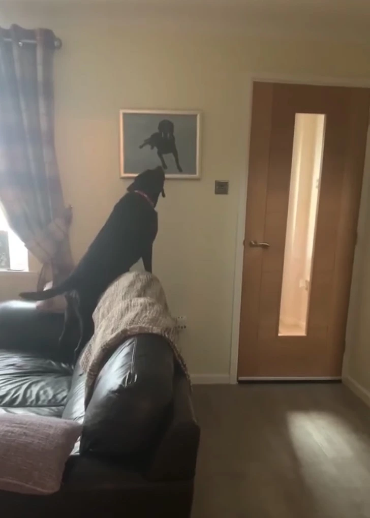 99A4D2345FBB6A29364946