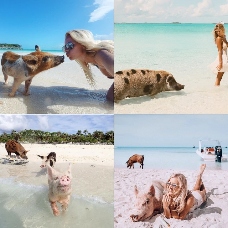 99F9403A5CD96FFF04A4E8