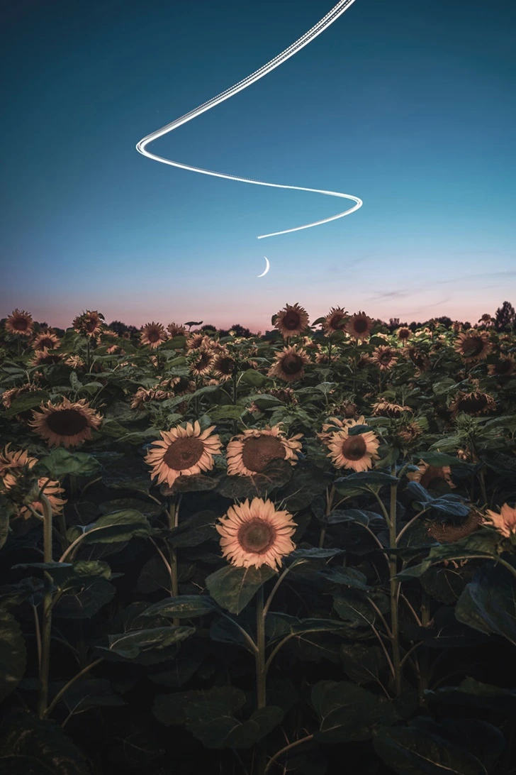 9968104E5F5024C60FFB1A