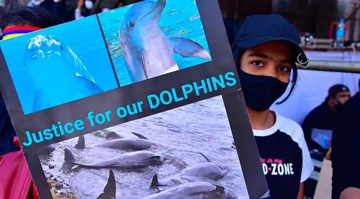 99207D4B5F4C5A892A8988