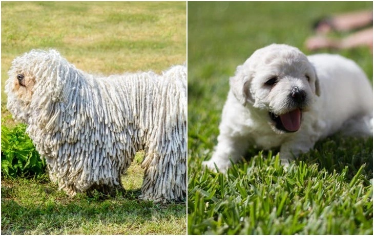 992C63345F71AB3F132BD5