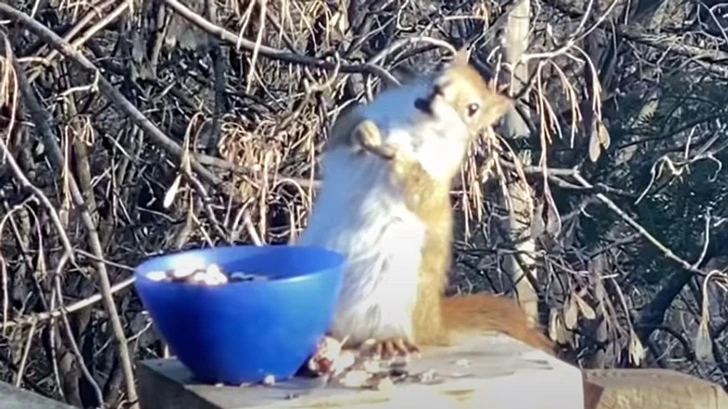 99CD6A4D5FC32597153DB7