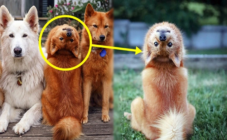 99DE61395FF1473A173DD3