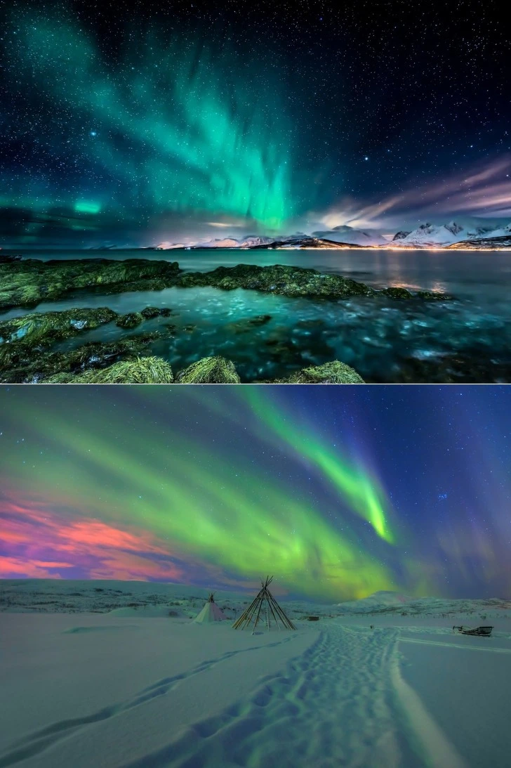 9902EB4D5D6FA24F1076C1