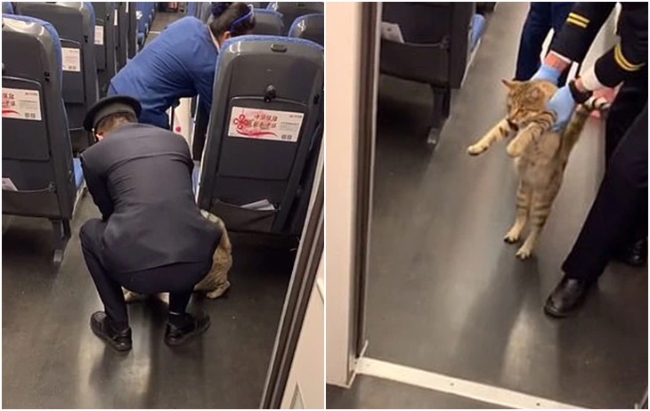 9930C1445FCC354E0A826B