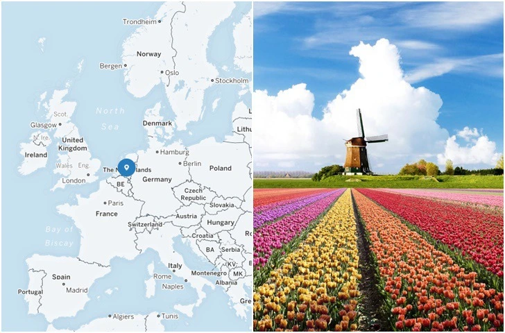 99DE20335DAEFC3425D72F