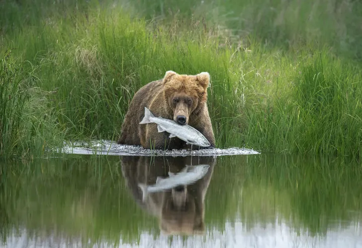 9943934D5F532ECB0A75CA