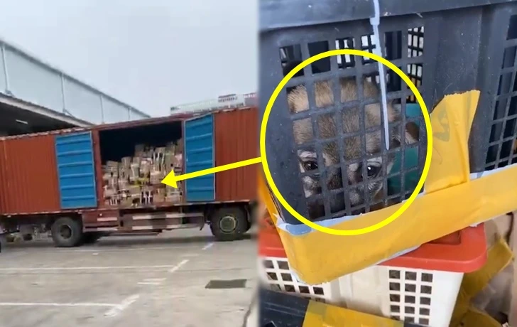 998AFC425F76969B1556C0