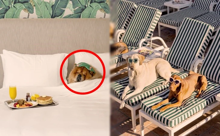 991CC3485F8842A428143C