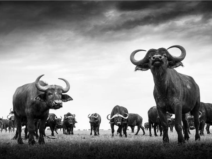 9954D94F5F7A97152E1611